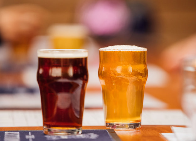 Lytton Arms Beer Fest 2024 70